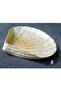 12cm Silicone Scented Stone - Mussel plate Candle Holder Mold K-267