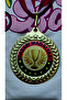 Gold Color Achievement Medal (Award Medal) - 4
