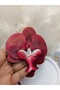 Extra Large 9cm Pinterest Korean Style Orchid Earrings Zr Earrings Big Red Flower Earrings Floral Earrings Birth Gift - 3