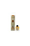 Mango Reed Diffuser, Best Aromatherapy Perfume, Oil & Reed Diffuser Sticks- 100 ml