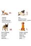 Dog Shoes Soft Indoor and Outdoor Walking Running 4 Pieces for Training - 5
