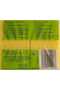 إسفنجة Power Classic Green Classic غير مجوفة مسطحة مكونة من 4 قطع - 3