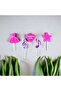 Ballerina Themed Pastel Pink Candle Set - 2