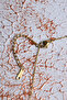 Aventurine Natural Stone Essence Bottle Pendant - 3