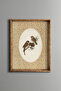 Sparrows - Vintage Patterned Frame