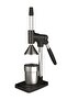 1703 Fruit Press (Professional Pomegranate Juicer)
