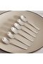 Tea Spoon Premier - Set of 6
