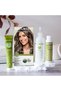 6N Dark Blonde Permanent Hair Color, Ammonia Free, Vegan, Cruelty Free, 100% Gray Coverage - 6
