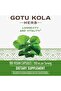 Gotu Kola Herb Caps, 180 ct - 5