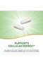 Pantothenic Acid, Supports Cellular Energy*, 500mg Per Serving, 100 Capsules - 3