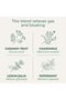 Tea, Organic Gas Relief, Relieves Gas & Bloating, Chamomile Mint, 16 Tea Bags - 3
