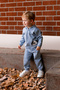 Dog Embroidered Baby Boy Tracksuit Set