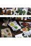 O13-Opportunity Product 40 Pieces Leaf Pet Stickers - Number: 5 - 4