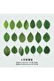 O13-Opportunity Product 40 Pieces Leaf Pet Stickers - Number: 5 - 2