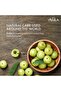 Amla Hair Oil 500ml | Natural care | Enriched with Amla, Natural Oils & Vitamin C | Nourishes - 6