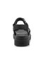 Pallacruise Strap - 3