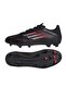 F50 League - 2