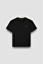 Men's Regular Fit Round Neck Shark Logo 100% Cotton Stretch Fabric Short Sleeve Black-Gold T-Shirt - 6