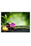 Canvas Framed Printing Wall Art 50x70cm - 2