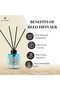 Ocean Reed Diffuser, Best Aromatherapy Perfume, Oil & Reed Diffuser Sticks- 100 ml - 2