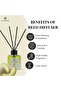 Melon Reed Diffuser, Best Aromatherapy Perfume, Oil & Reed Diffuser Sticks- 100 ml - 2