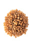 Premium Akpi Seeds (Djansang) – 100% Natural Herbal Superfood – 1Kg | Women’s Wellness, Body E - 2