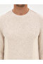 Beige Regular Fit Sweatshirt 50313991-Vr011 - 6