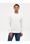 Ecru Regular Fit Sweatshirt 50311686-Vr019