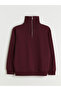 Burgundy Zippered Stand Collar Men's Thick Sweatshirt - 5