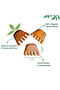 Neem Massager Comb | Pure Neem Wood - 3