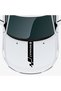 Custom New Compatible Accessory Auto Hood Strip for Renault R9 Custom New Sticker