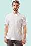 Basic Crew Neck T-Shirt 100 Cotton Galanthus Shirt - 2