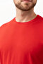 Basic Crew Neck T-Shirt 100 Cotton Galanthus Shirt - 6