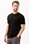 Basic Crew Neck T-Shirt 100 Cotton Galanthus Shirt - 5