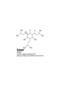 BEER FORMULA - 3