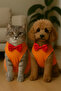 Cat Dog Bow Tie Undershirt - 3