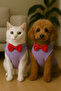 Cat Dog Bow Tie Undershirt - 3