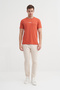 Crew Neck Slim Fit Cotton T-Shirt - 3