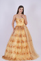 Long Gown in Desert Sand Gold Colour with Flowered Imported Mesh, Pearl Mesh Back & Tail