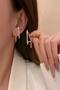Women's Steel Earrings Zircon Stone Vip Anti-tarnish Earrings - 2