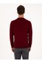 Dark Burgundy Slim Fit Wool Blend Crew Neck Knitwear Sweater 50311869-Vr175 - 5