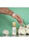 LOTION CLASSIC - 5