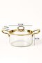 2.5 Lt. Heat Resistant Pot with Gold Lid and Gold Handle – Transparent Borosilicate Glass Cooking Set - 4