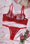 Women's Underwear Brode Lace Bra Set