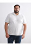 Southbluebeige Polo Neck Men's T-Shirt - 2