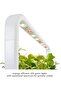 Click & Grow Smart Garden 9 Indoor Home Garden (Includes 3 Mini Tomato, 3 Basil, 3 Chili Pepper Plan - 3