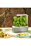 & Indoor Herb Garden Kit with Light | Smart Garden for Home Kitchen Windowsill | Easi