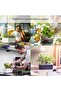 Smart Garden 3 Indoor Gardening Kit (Includes 3 Basil Plant Pods), Grey, 30 X 10 X 28 - 6