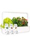Click & Grow Smart Garden 9 Indoor Home Garden (Includes 3 Mini Tomato, 3 Basil, 3 Chili Pepper Plan