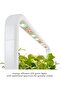 & Indoor Herb Garden Kit with Light | Easier than Hydroponics System | Smart Garden f - 5